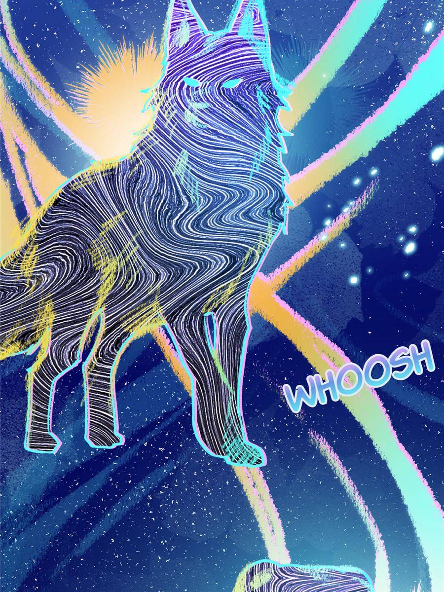 80657407 900 1200 259039